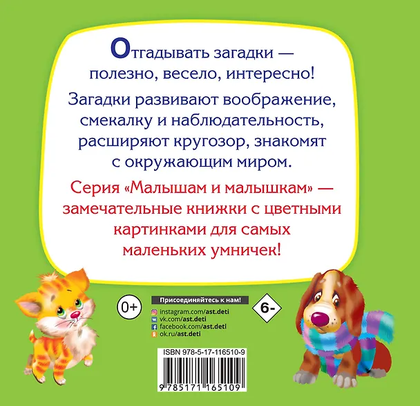 Книга Загадки (Екатерина Гайдель) — 2