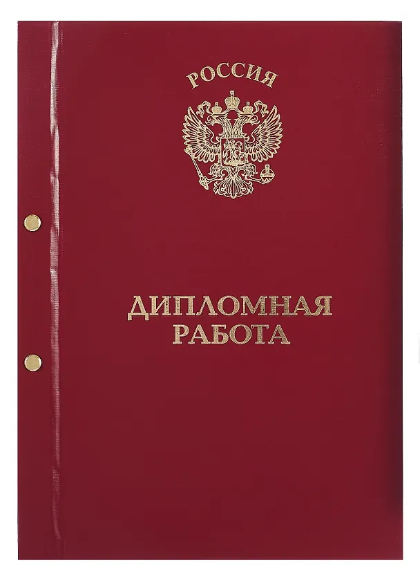 Обложка "Дипломный проект" ассорти, 2 отверстия, бумвинил 3101356 — 2