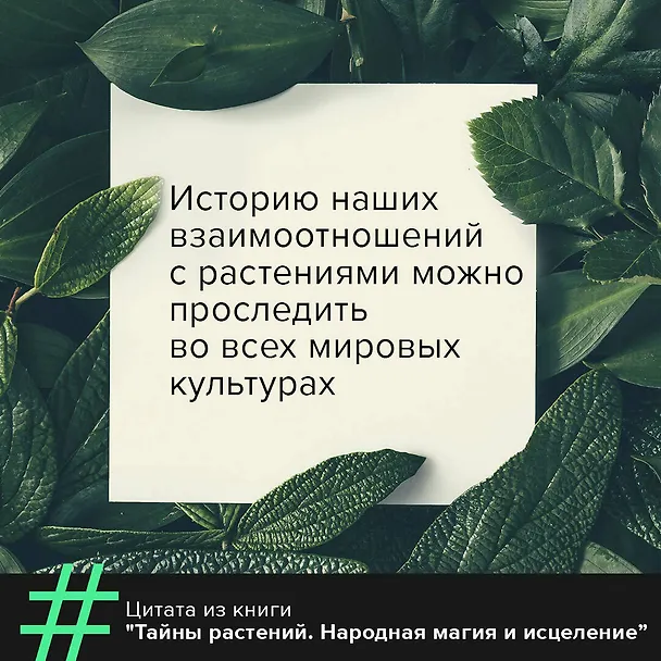 Книга Тайны растений. Народная магия и исцеление (Фез Инкрайт) — 8