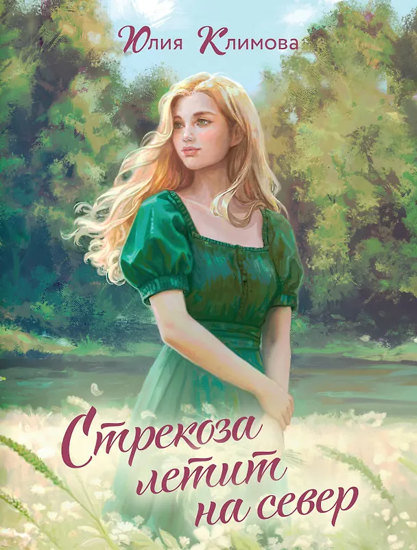 Книга Стрекоза летит на север (Юлия Климова) — 1