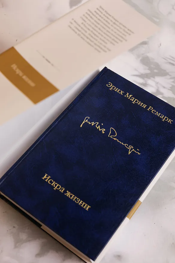 Книга Искра жизни (Эрих Мария Ремарк) — 10