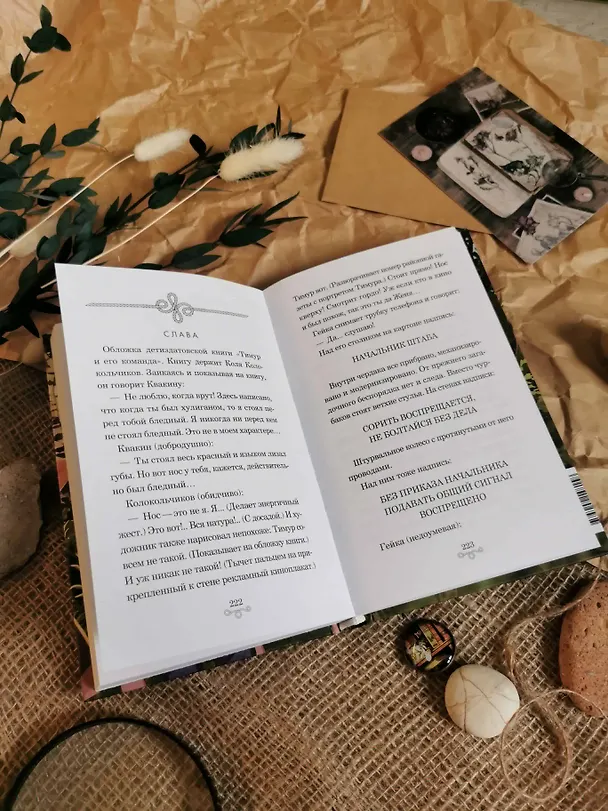 Книга Тимур и его команда (Аркадий Гайдар) — 10