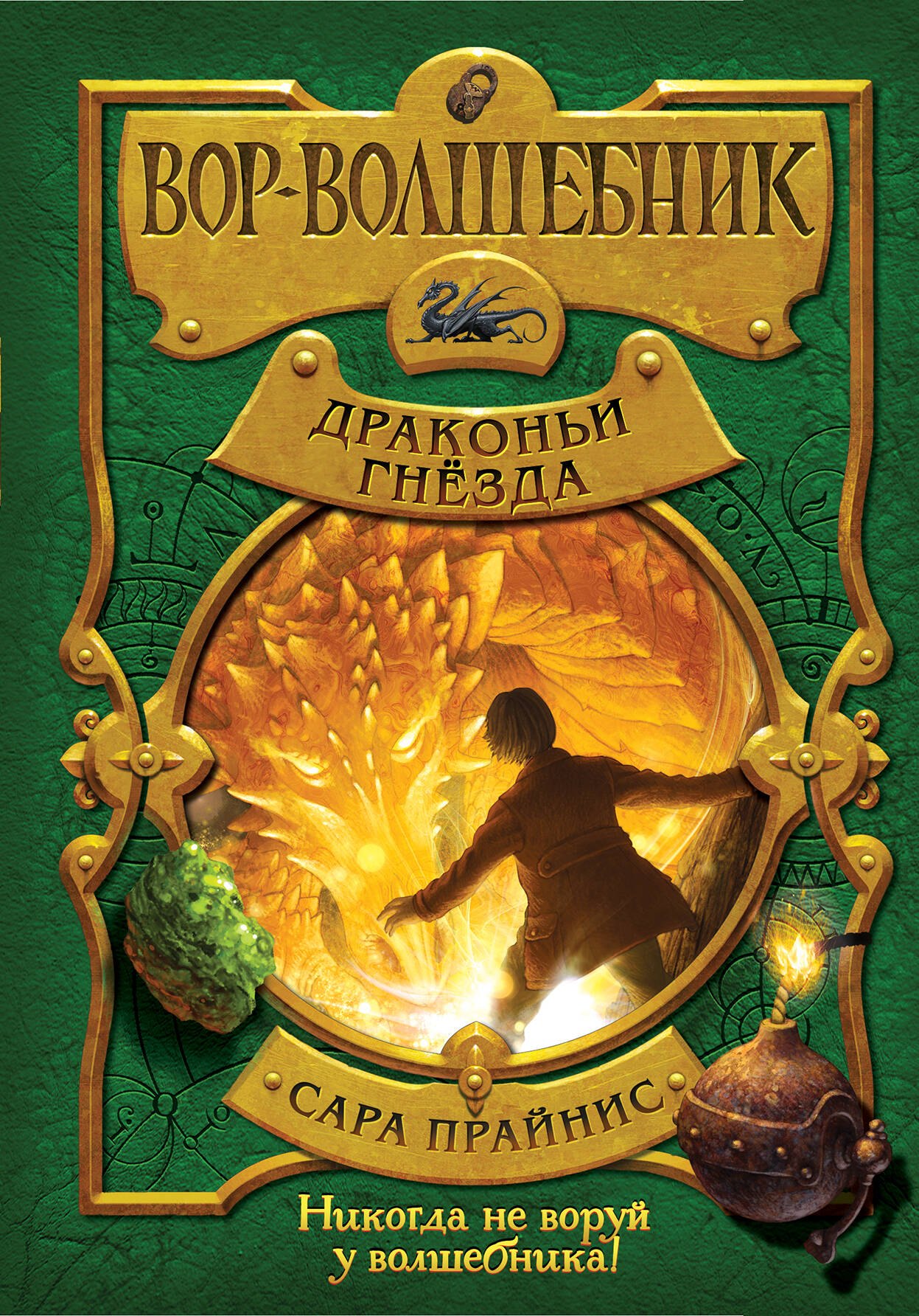 

Вор-волшебник. Драконьи гнёзда (#3)