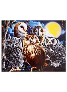Холст с красками по номерам на подрамнике "Совиная компания", 40 х 50 см