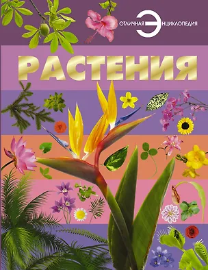 Книга Растения (Анна Спектор)