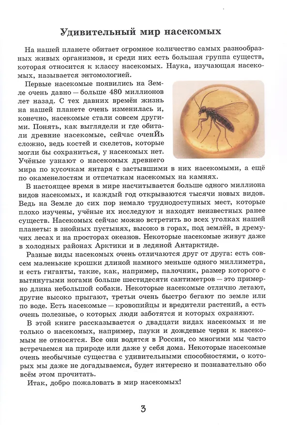 Книга Эти милые букашки (Вадим Жижанов) — 3