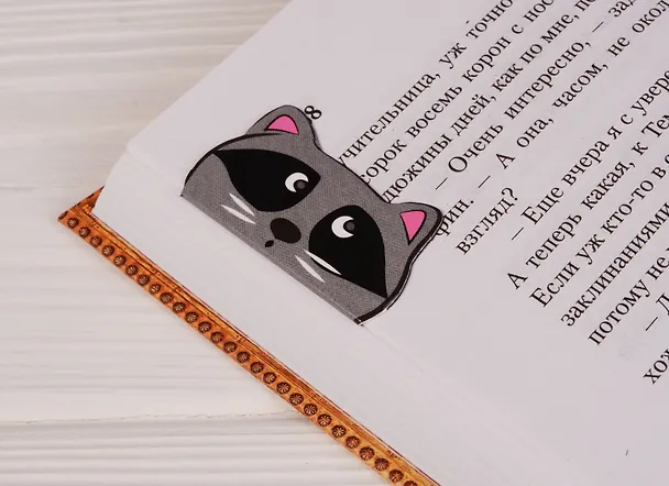 Магнитные закладки I want to be a Raccoon (2 шт) 2608332 — 3