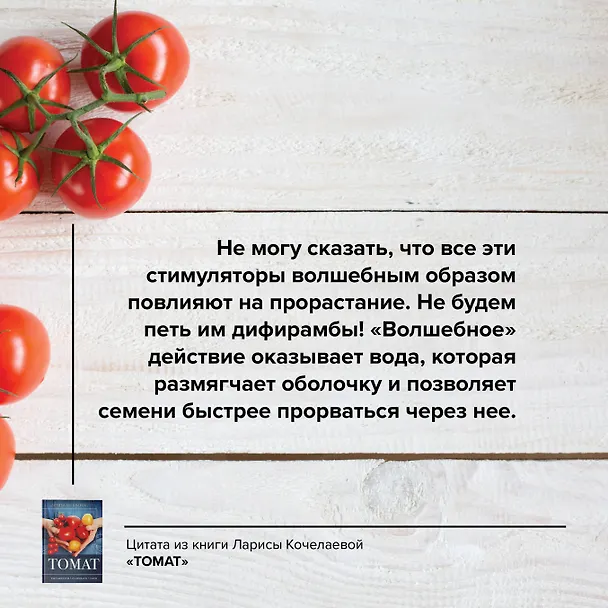 Книга Томат. Выращиваем, ухаживаем и едим (Лариса Кочелаева) — 9