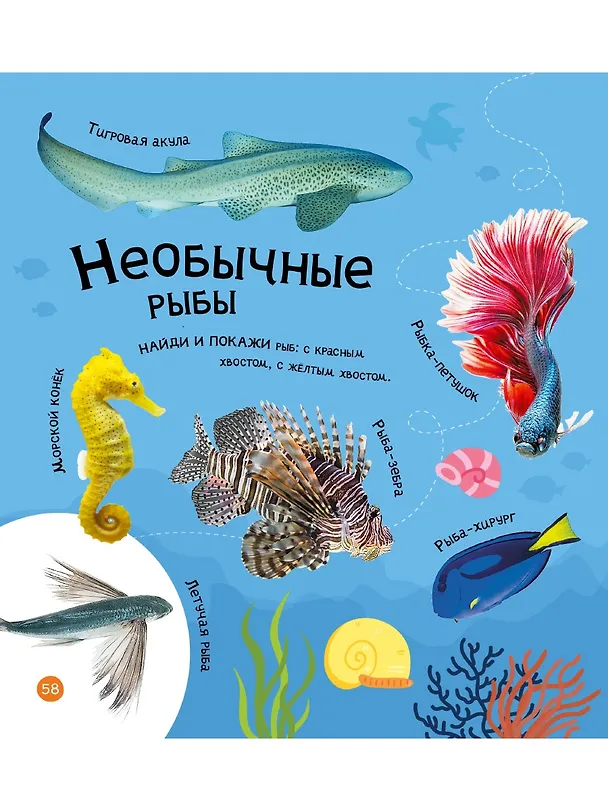 Книга Мои первые 300 слов. Животные, рыбы, птицы, растения () — 7