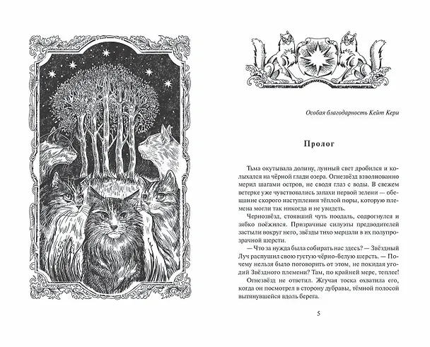 Книга Неистовая буря (Эрин Хантер) — 2