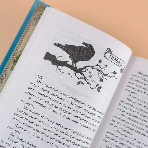 Книга Реннвинд. Поцелуй ночи (Леа Стенберг) — 10