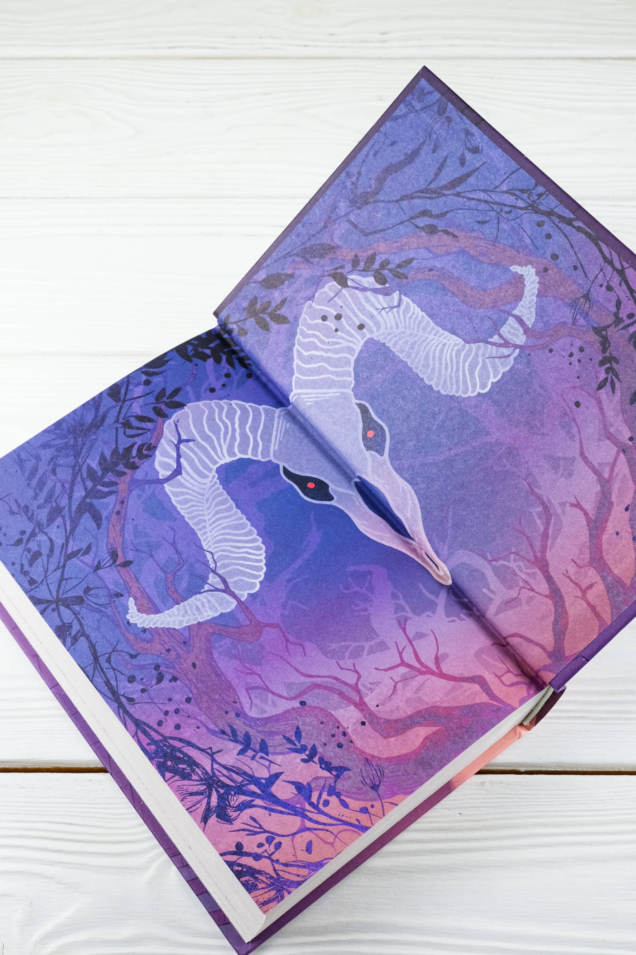 Изображение бумажной книги