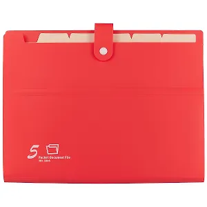 Папка на кнопке, 5 отделений, А4