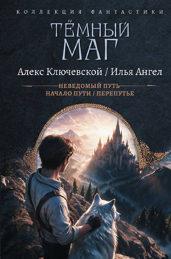 Книга Тёмный маг-1 (сборник) (Алекс Ключевской, Илья Ангел) — 1