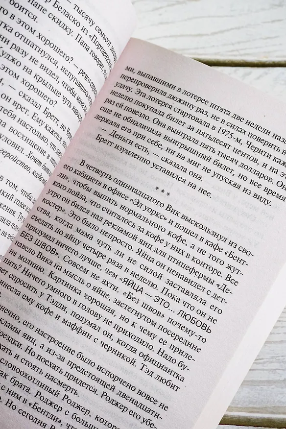 Книга Куджо (Стивен Кинг) — 10