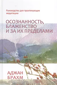 Осознанность, блаженство и за их пределами. Руководство для практикующих медитацию