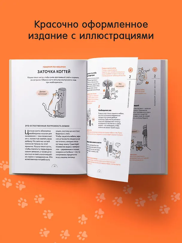 Книга Чего хотят кошки. Японский бестселлер по воспитанию усатых малышей (Юки Хаттори) — 8