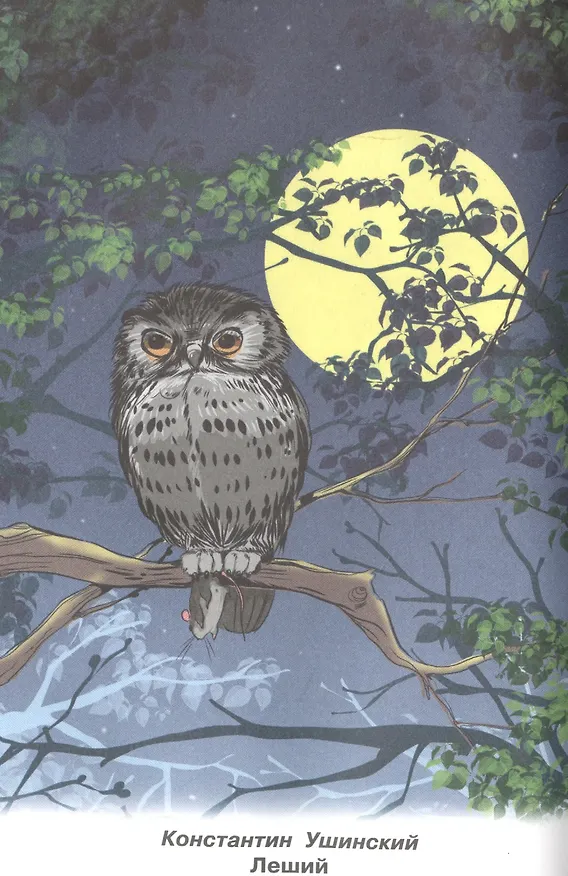 Книга Рассказы о животных 1-4 кл. (ШБ) (Илья Есаулов) — 6