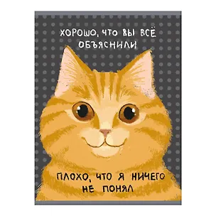 Тетрадь А4 60л кл. "Не понял" скрепка, мел.картон, глянц.ламинация 3149501