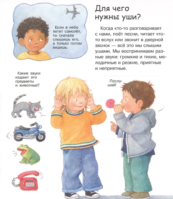 Книга Что? Почему? Зачем? Вижу, слышу, чувствую (с волшебными окошками) (Дорис Рюбель) — 3