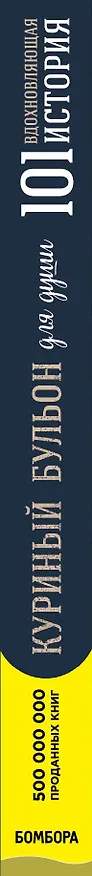Книга Куриный бульон для души. 101 вдохновляющая история о сильных людях и удивительных судьбах (Эми Ньюмарк) — 3