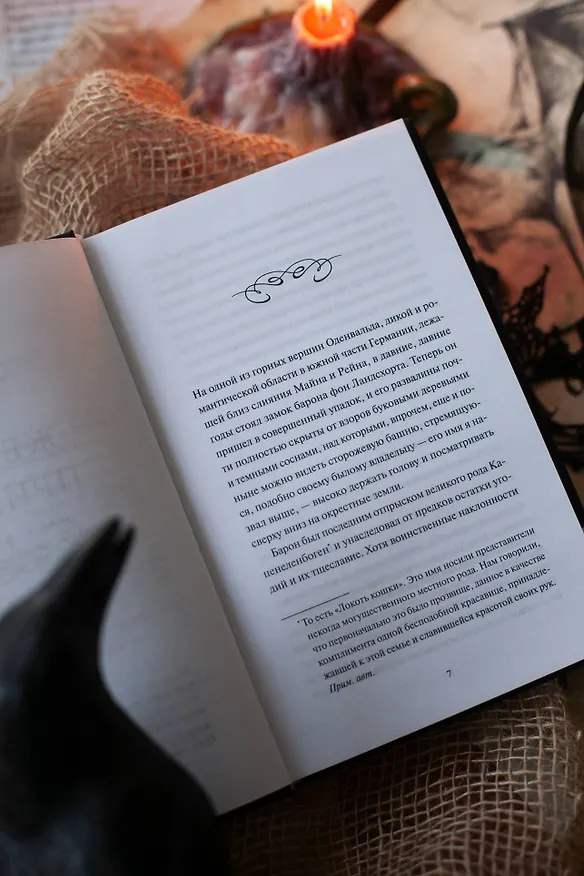 Книга Легенда о Сонной лощине. Вечные истории (Ирвинг Вашингтон) — 13