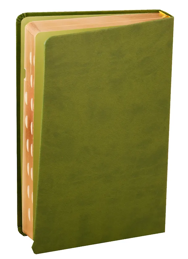 Книга Библия (055 MTiG ИИЖ) (Зеленая) (зол. срез) (кожа) (индексы) (гладкая) (рамка) () — 2