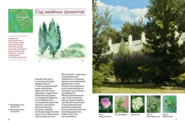 Книга Прогулки в Царицыне с натуралистом (Светлана Калинина, Марина Шайкина, Татьяна Смирнова) — 3