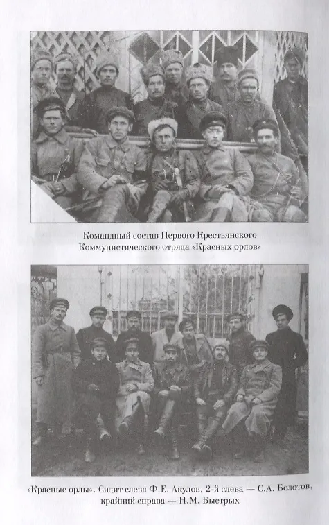 Книга Красные орлы (Филипп Голиков) — 5