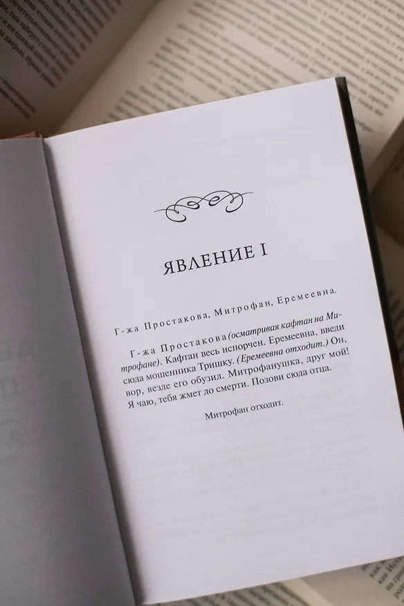 Книга Недоросль. Вечные истории. Young Adult (Денис Фонвизин) — 13