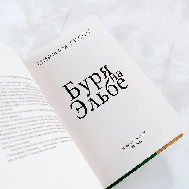 Книга Буря на Эльбе (Мириам Георг) — 9