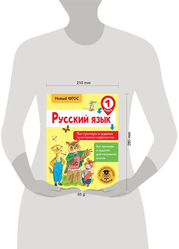 Книга Русский язык. Все примеры и задания на все правила и орфограммы. 1 класс (Наталия Шевелёва) — 3