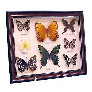 Панно Бабочки (29х34) (101010) 2382103