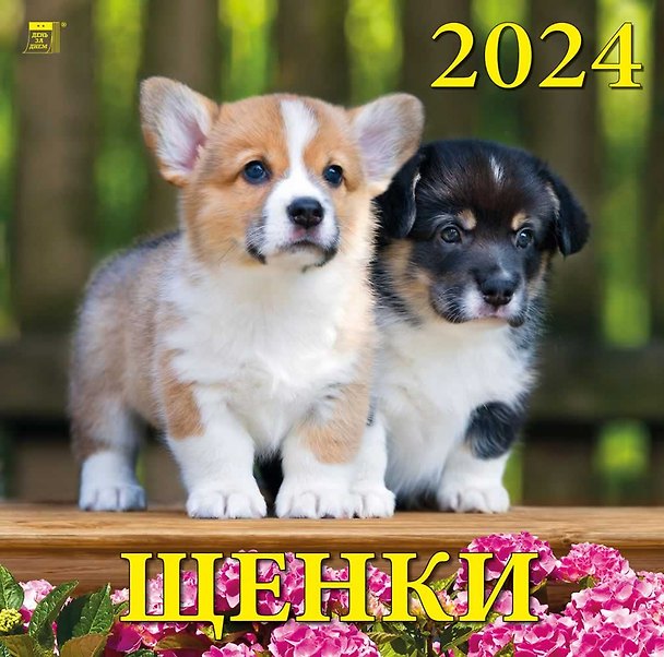 Календарь 2024г 300*300 "Щенки" настенный, на скрепке 2998380 — 1