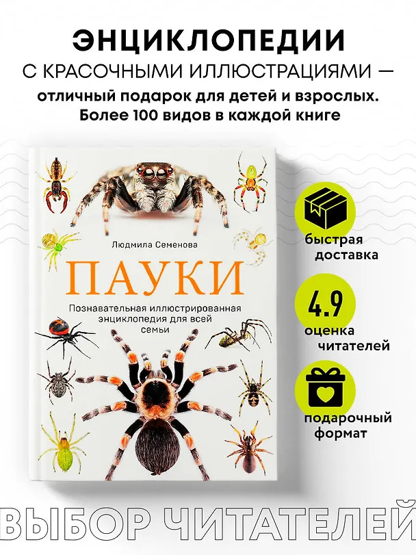 Книга Пауки: познавательная иллюстрированная энциклопедия для всей семьи (Людмила Семенова) — 6