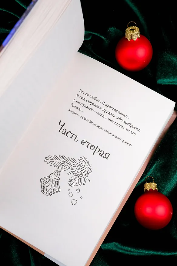 Книга Пицца с мандаринами (Е Цхао) — 12