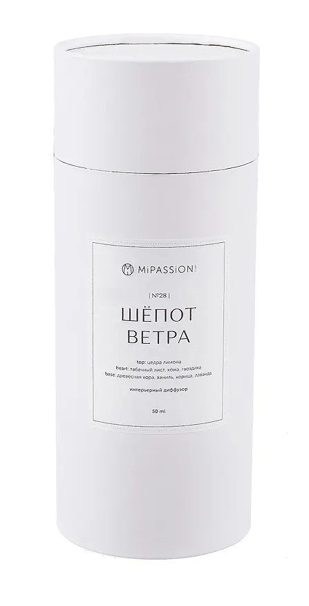 Диффузор интерьерный Шепот ветра (гипс) (50мл) (23см) 3067474 — 1
