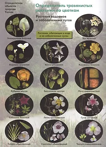 Определитель травянистых растений по цветкам Растения водоемов… (м) Боголюбов