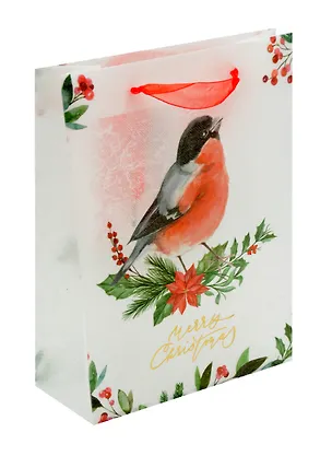 Пакет А5 25*19*8,5 "Снегирь" НГ, пластиковый 3040198