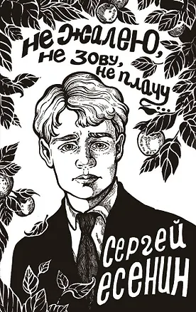 Книга Не жалею, не зову, не плачу... (Сергей Есенин)