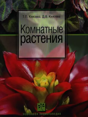 Комнатные растения — 2347800 — 1