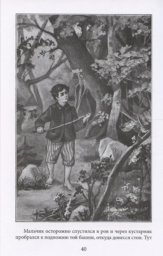 Книга Заговор сов (Павел Засодимский) — 4
