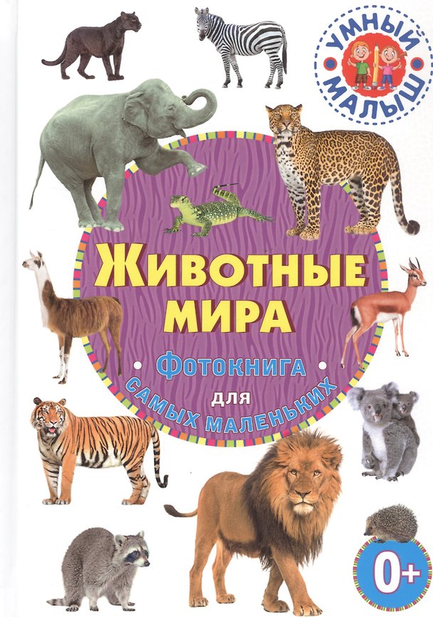 Книга Животные мира. Фотокнига для самых маленьких () — 1