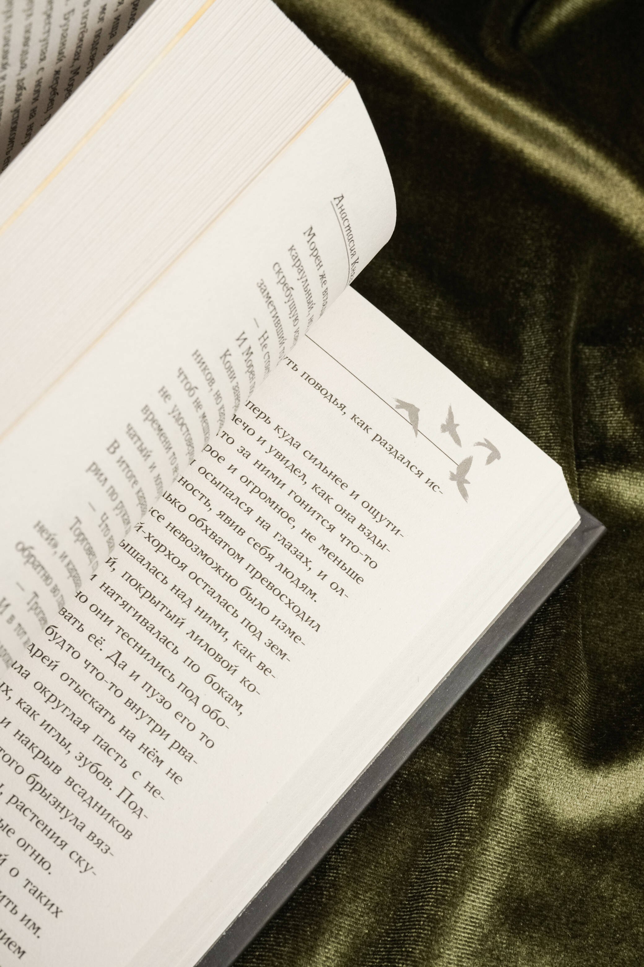 Изображение бумажной книги