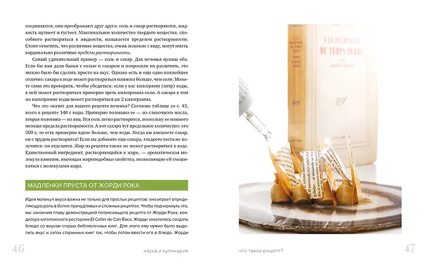 Книга Наука и кулинария. Физика еды. От повседневной до высокой кухни (Майкл Бреннер, Пиа Сёренсен, Дэвид Вейтц) — 6