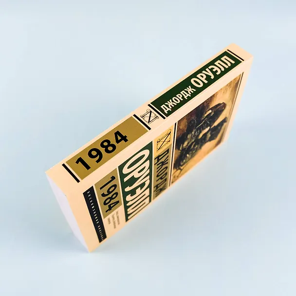 Книга 1984 (новый перевод) (Джордж Оруэлл) — 11