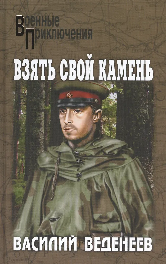 Книга Взять свой камень (Василий Веденеев) — 1