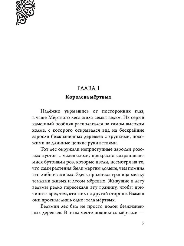 Книга Матушка Готель. История старой ведьмы (Серена Валентино) — 8