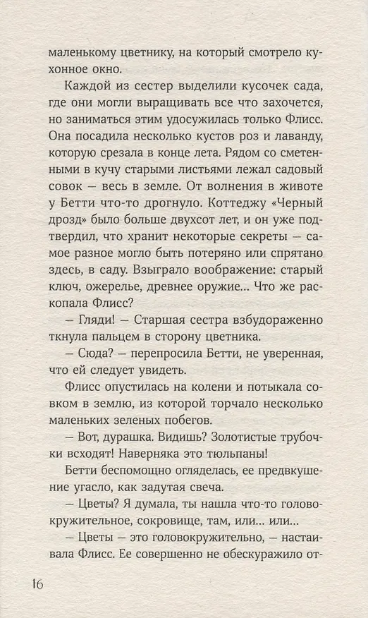 Книга Вихрь колдовства (Мишель Харрисон) — 2
