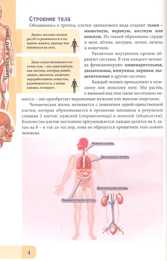 Книга ЭНЦИКЛОПЕДИЯ. В МИРЕ ЗНАНИЙ. ЧЕЛОВЕК И ЕГО ТЕЛО (Оксана Балуева) — 2